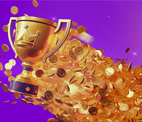VIP-Cashback-Programm-Banner